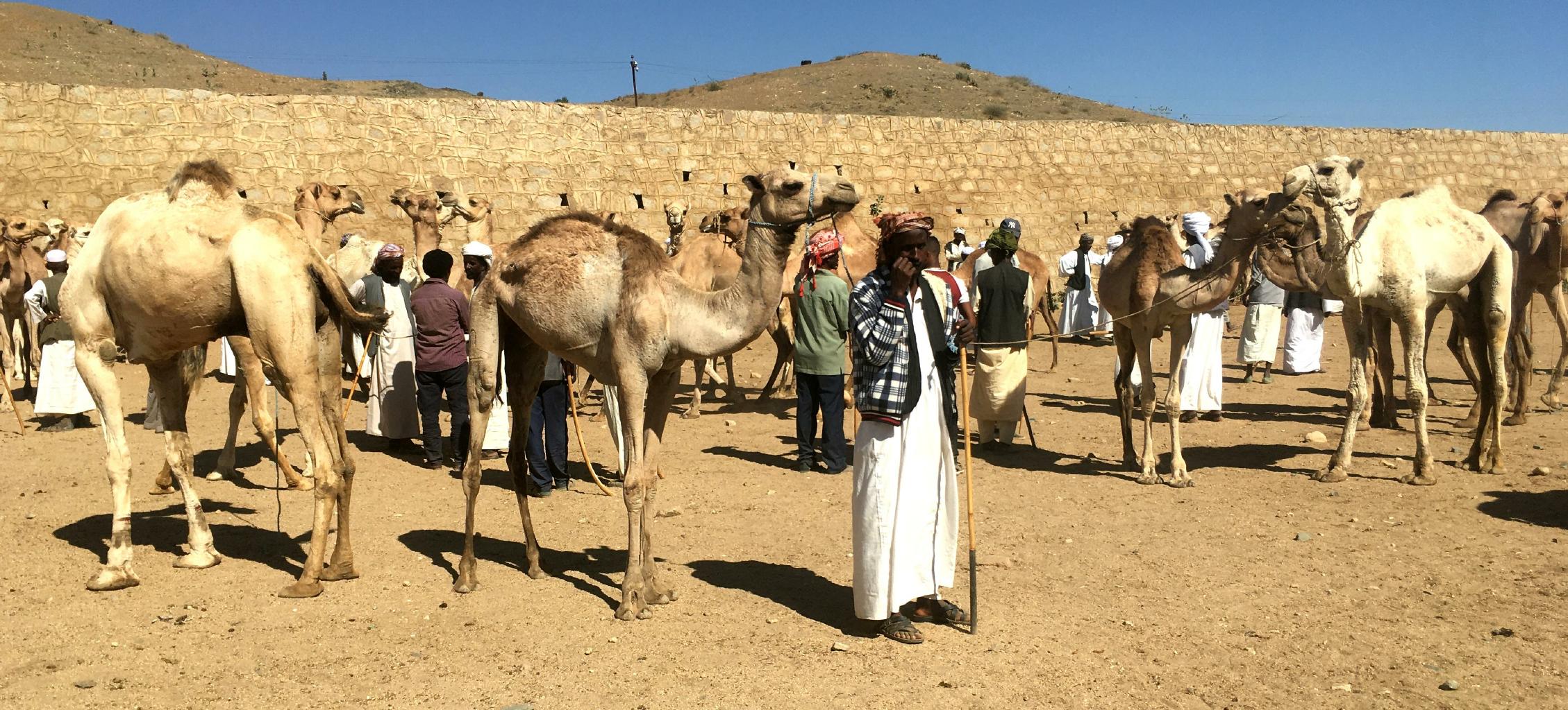 Eritrea — Italian Africa – The Near East — 2020, image size:2258x1024